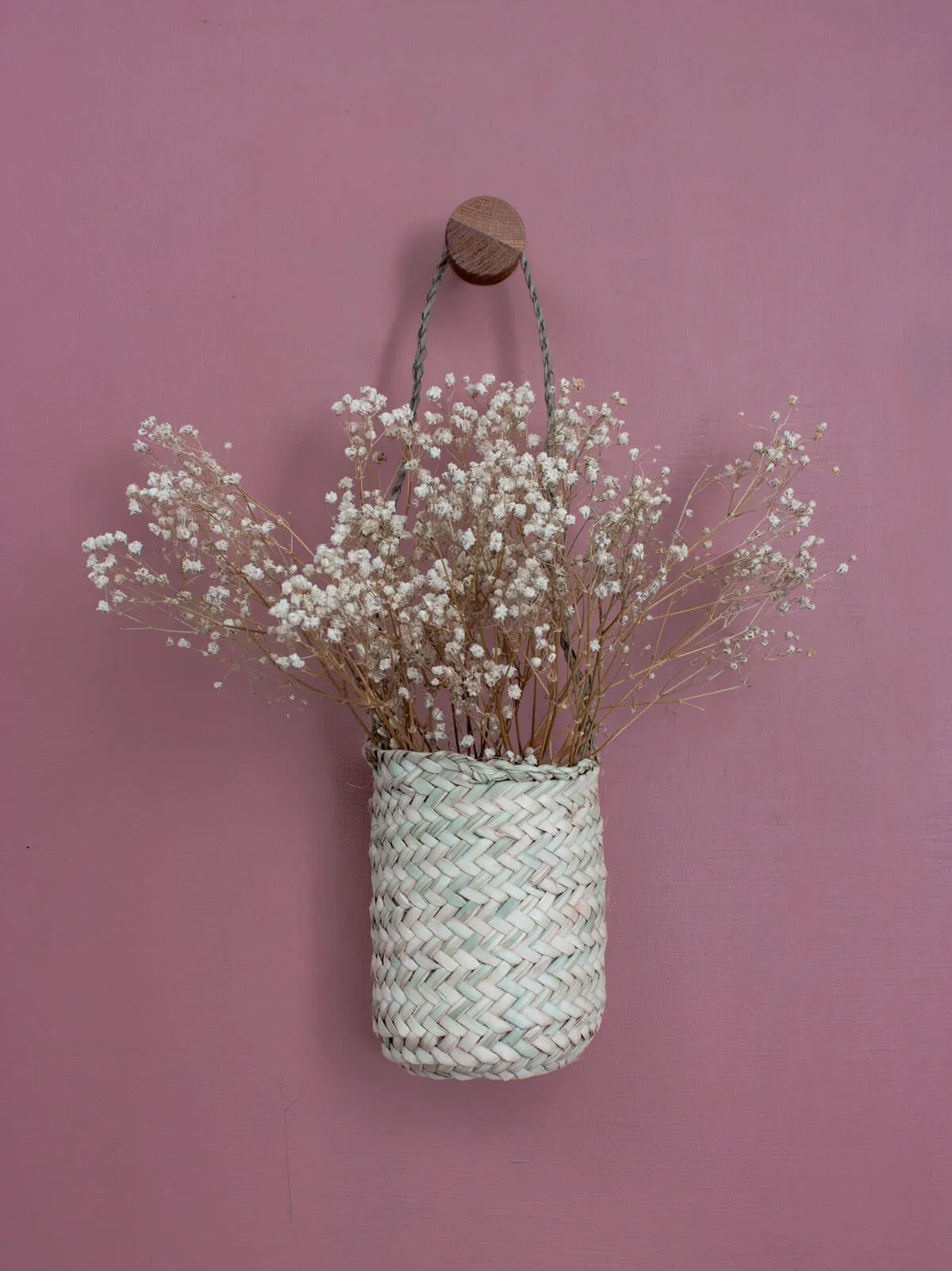 Mini Hanging Pot