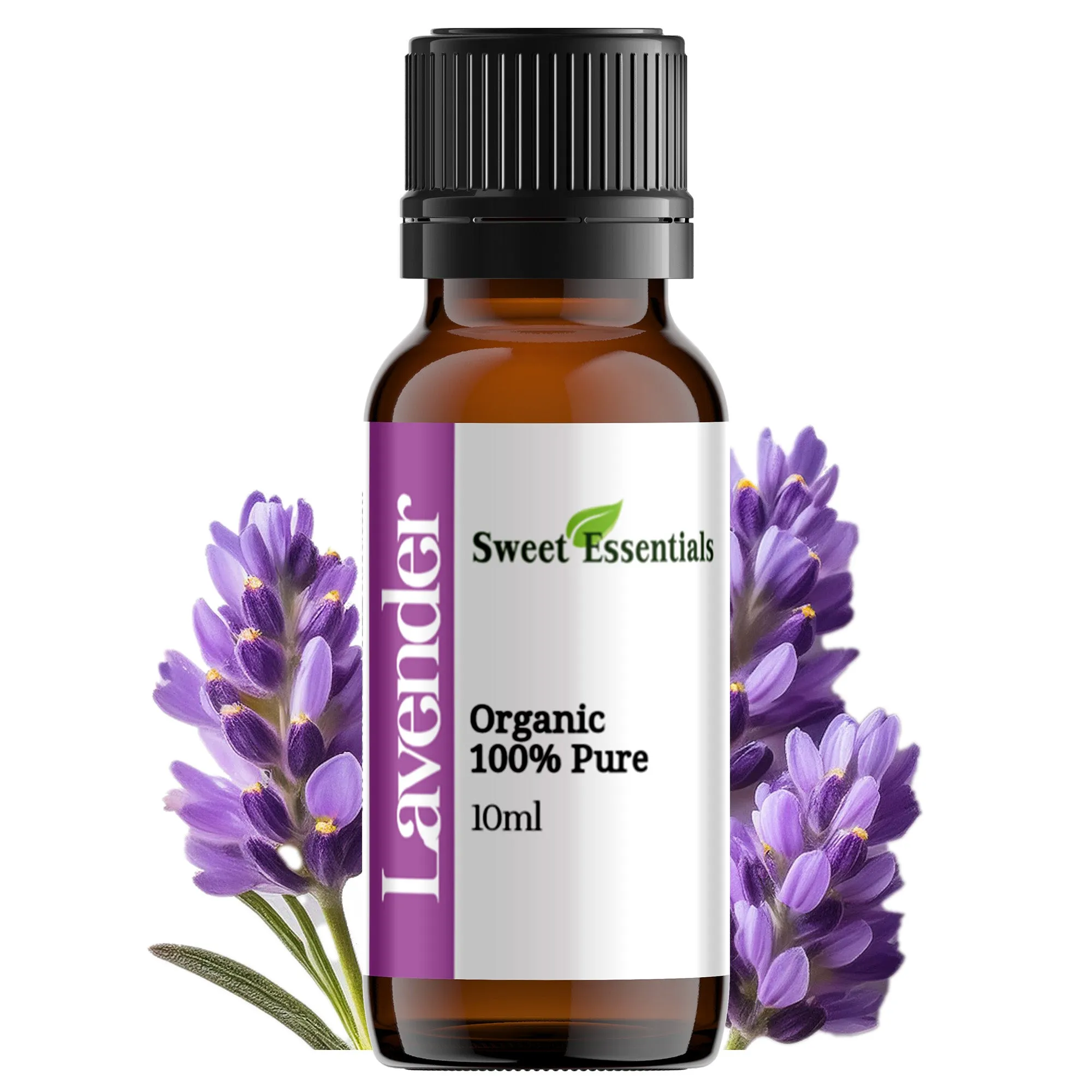 Pure Organic Lavender Essential Oil, Imported From France, ( Lavandula Officinalis )