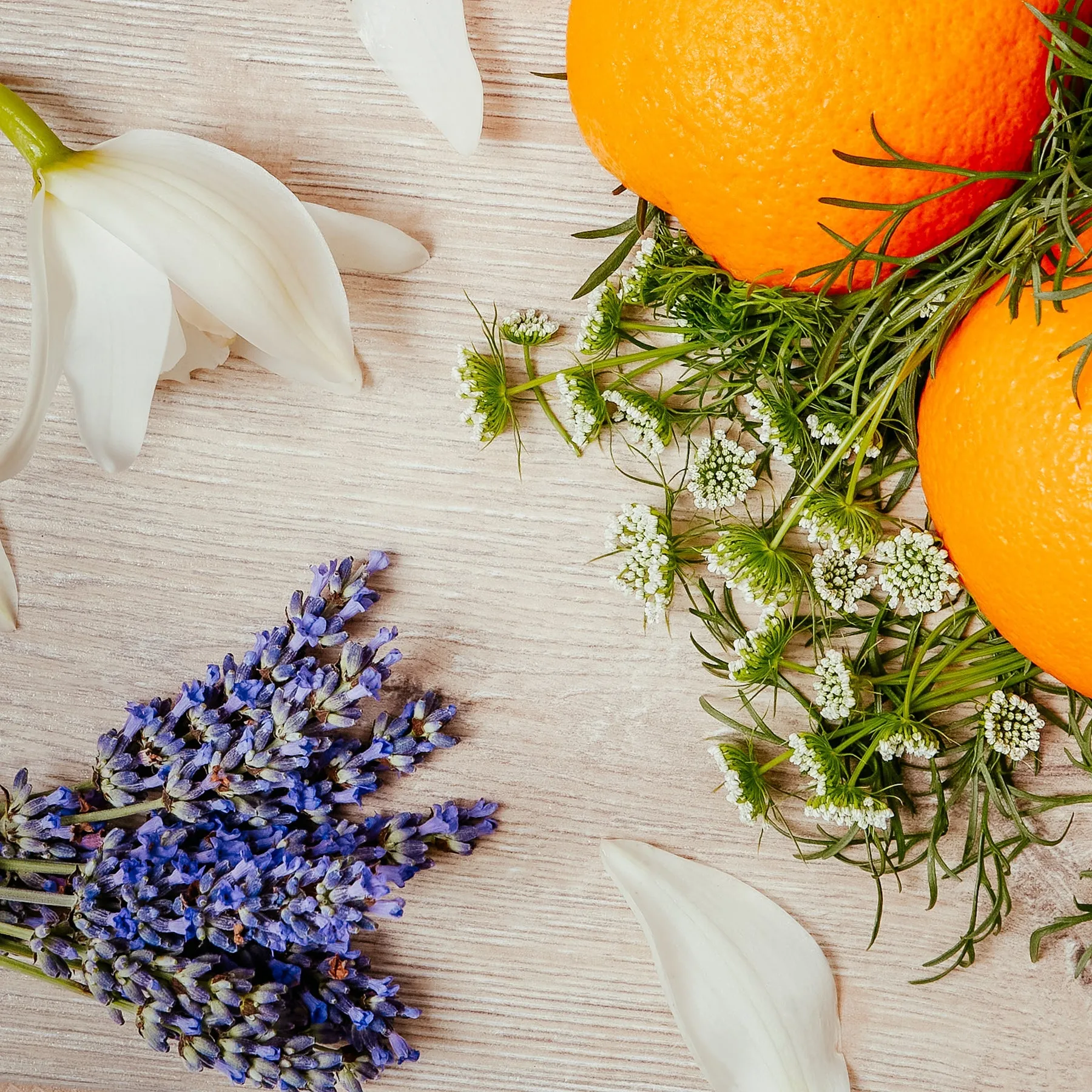 SCENTED CANDLE - NEROLI BLOSSOM & LAVENDER