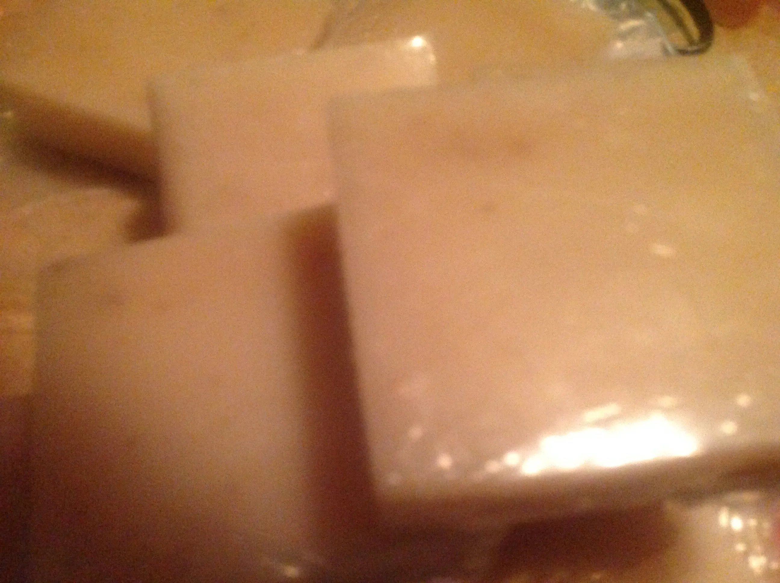 Sweet Almond & Yogurt Goat's Milk & Oatmeal Soap Bar