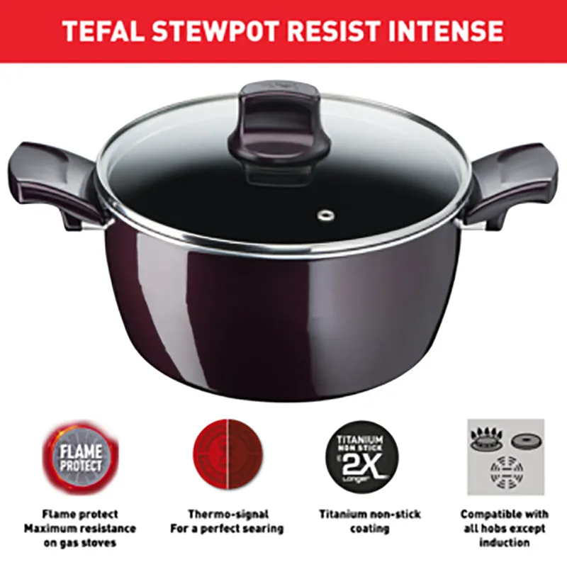 Tefal, D5225282 Resist Intense – Stewpot 26cm   Glass Lid