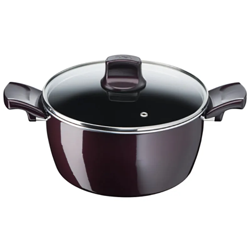 Tefal, D5225282 Resist Intense – Stewpot 26cm   Glass Lid